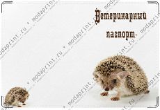 Ёж