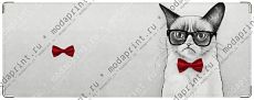 Grumpy Cat