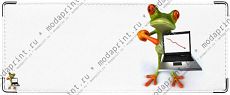 фрог4