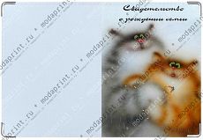 Молодожены