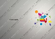 apple 2