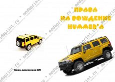 Hummer