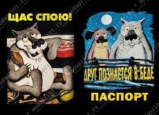 спою