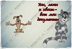 Усы, лапы и хвост