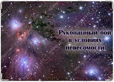 Рукопашный бой