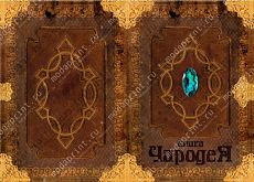 Книга ЧародеЯ