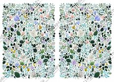 Flora