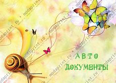 Бабочки и улитка