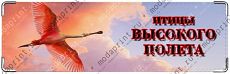 Птицы высокого полета