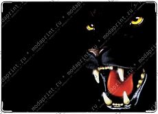 Panther