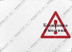 Блондинка с мозгами