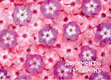 Для блондинок