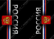 Паспорт