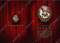 В СССР