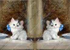 Kitty