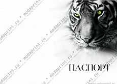 белый тигр