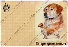 Ветеринарный паспорт