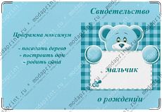 Программа максимум