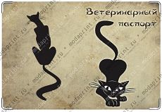 Чёрная кошка