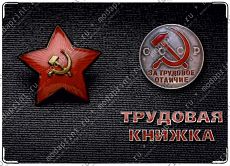 за трудовое отличие