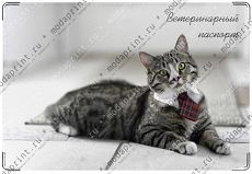 Пижон