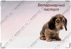 Провинился
