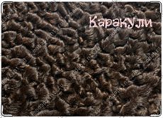 каракули на каракуле