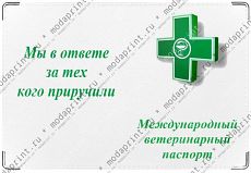 Вет. паспорт.