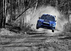 Subaru Rally