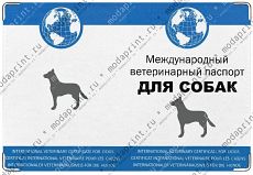 Международный