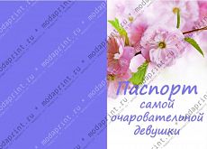 Обложка на паспорт