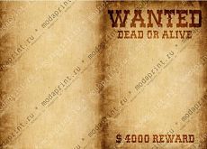 Wanted