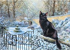 Kat_snow