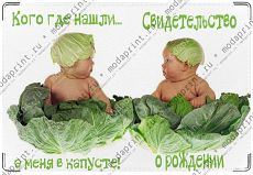 Капуста