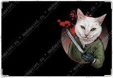 cat