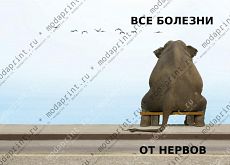 Спокойствие