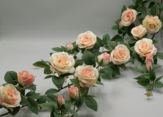 Лиана роза с бутонами 