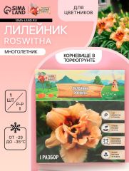 Лилейник Roswitha, многолетник, корневище в пакете с торфогрунтом, р-р I, 1 шт