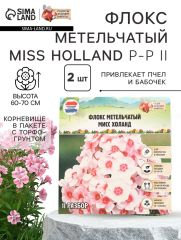 АКЦИЯ! 3 по цене 2! Флокс метельчтый Miss holland корневище в пакете с торфогрунтом, р-р II, 2 шт