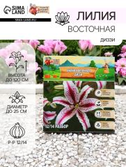 АКЦИЯ! 3 по цене 2! Лилия Восточная «Диззи», луковица в пакете с перфорацией, р-р 12/14, 3 шт