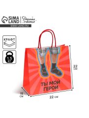АКЦИЯ! ЦЕНА ЗА 3 ШТ! Пакет подарочный, упаковка, «Герой», 22 х 22 х 11 см