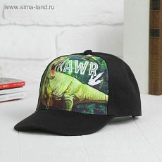 3950084 Кепка детская "Рекс" р-р. 52см