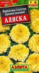 Бархатцы Аляска Аэлита