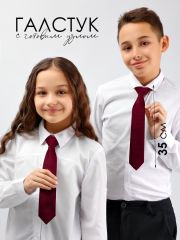 SP306A Соль&Перец Галстук бордовый