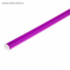 1209321 Палка гимнастическая 100 см, цвет фиолетовый