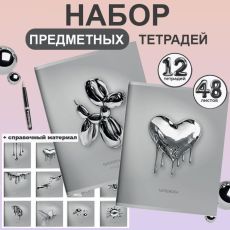 Комплект тетрадей 48 л. А5 кл./лин.ЖИДКИЙ МЕТАЛЛ Schoolformat