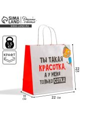 Пакет подарочный, упаковка, «Красотка», 22 х 22 х 11 см