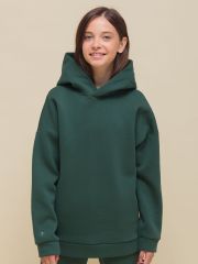 UFNK4323 PELICAN Толстовка Изумрудный