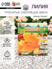 АКЦИЯ! 3 по цене 2! Лилии Трубчатые смотрящие вверх Orange Planet, луковица в пакете с перфорацией, р-р 12/14, 2 шт