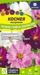 Космея Психе Махровая Сем.Алтая